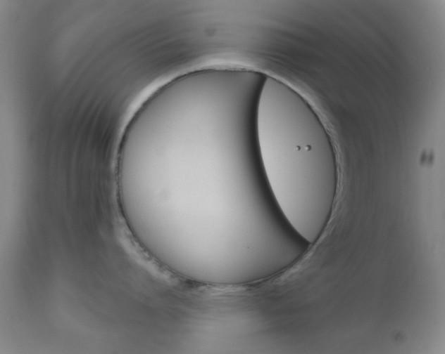 X0000111170864200907011006