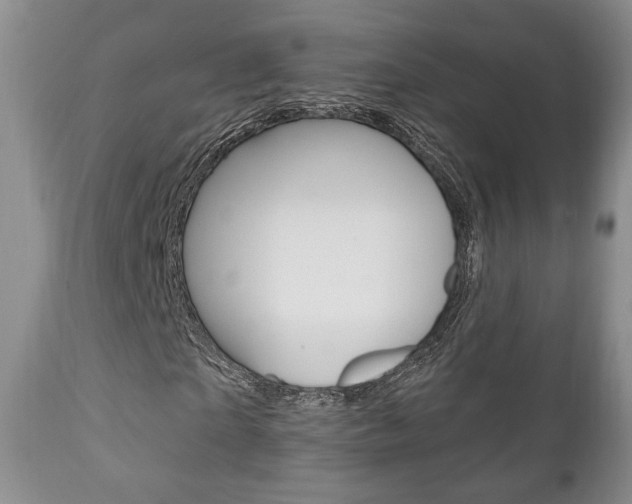X0000111170865200907011006