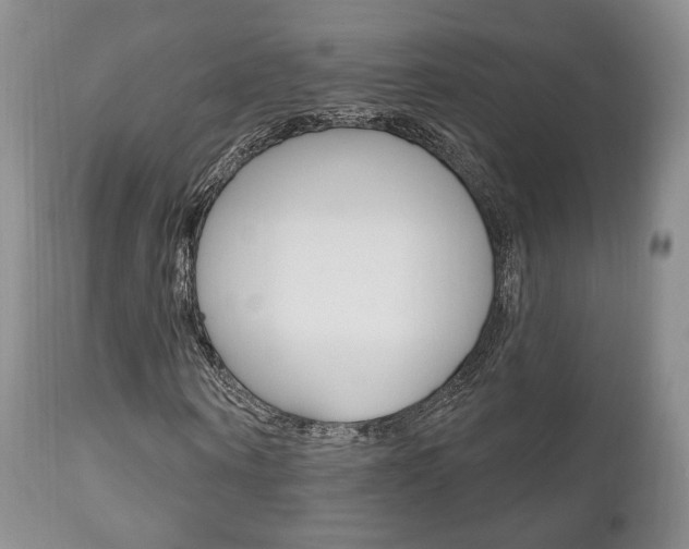 X0000111170866200907011006