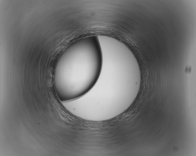 X0000111170868200907011006
