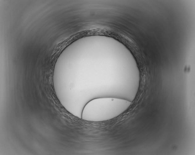 X0000111170869200907011006