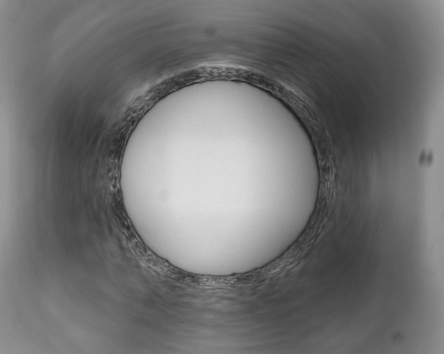 X0000111170870200907011006