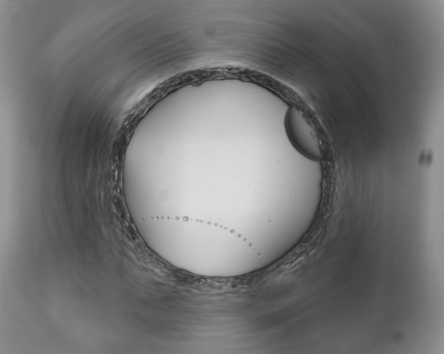 X0000111170871200907011006
