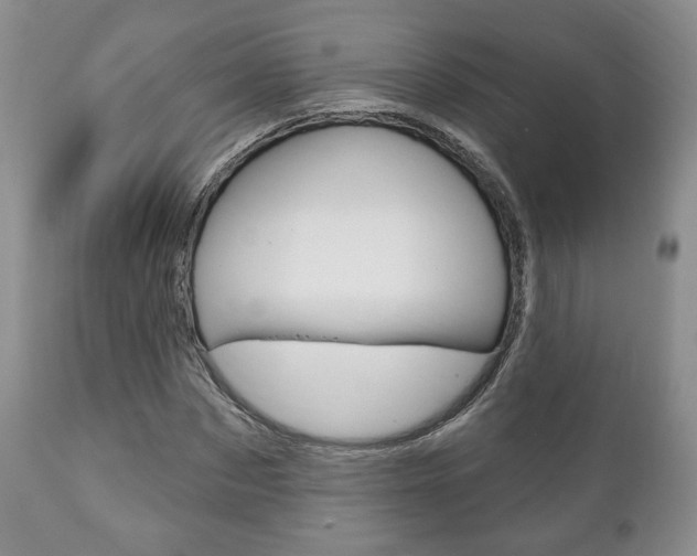 X0000111170873200907011006