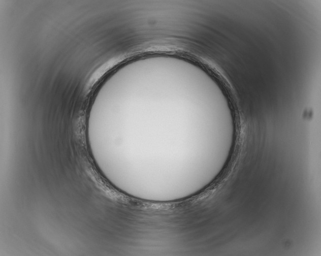 X0000111170874200907011006