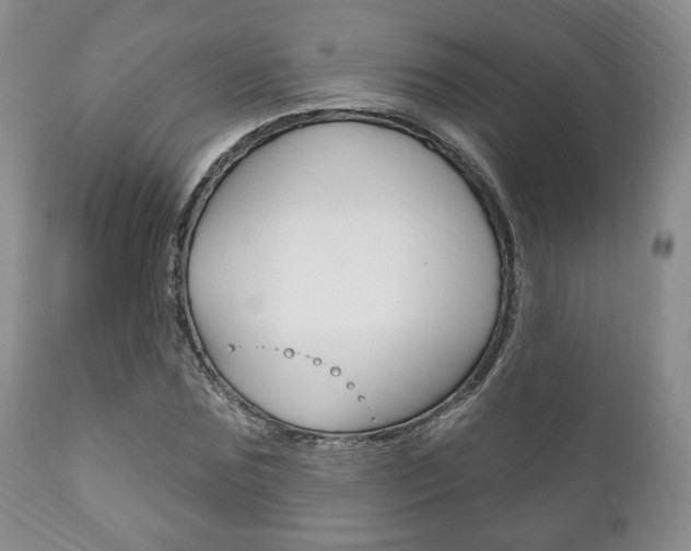 X0000111170875200907011005