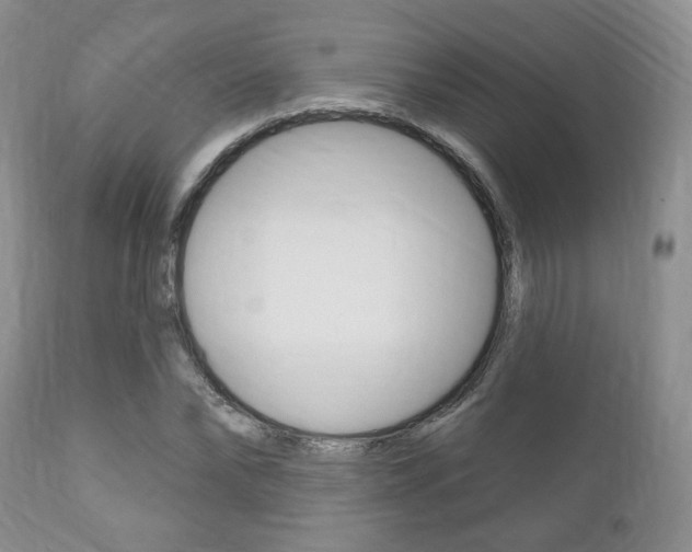 X0000111170878200907011005