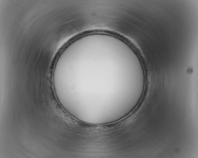 X0000111170879200907011005