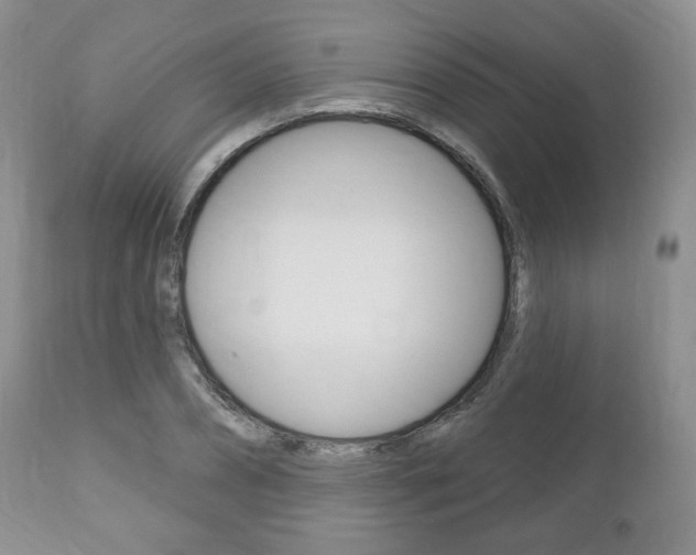 X0000111170882200907011005