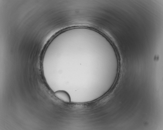 X0000111170883200907011005
