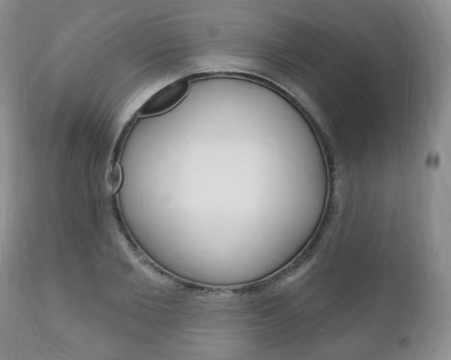 X0000111170885200907011005