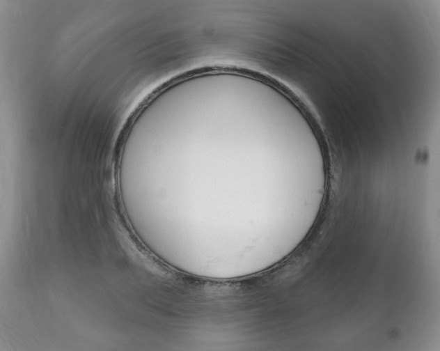 X0000111170887200907011005