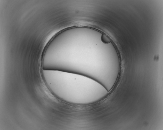 X0000111170891200907011005