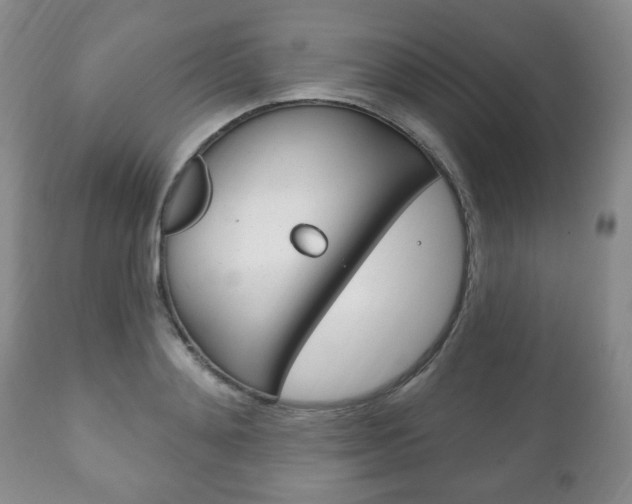 X0000111170892200907011005