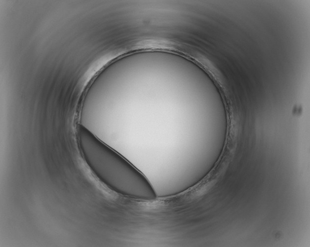 X0000111170893200907011005