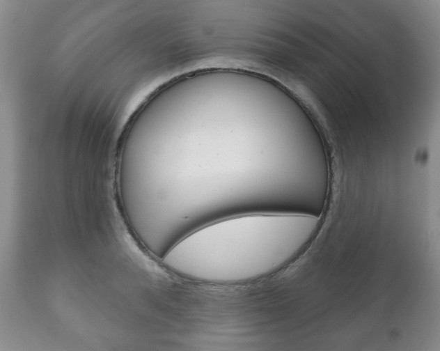 X0000111170896200907011005