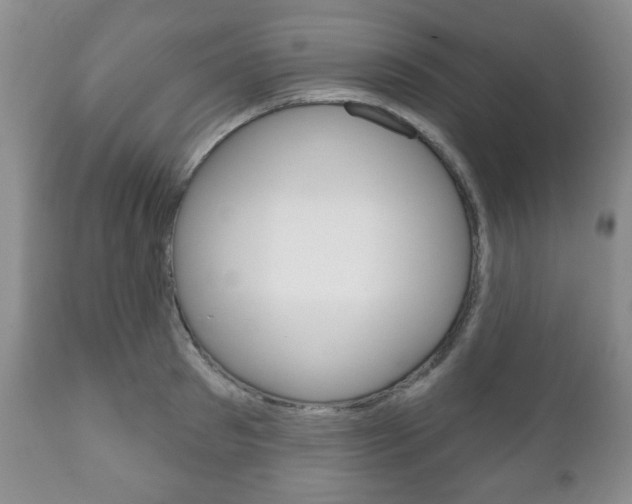 X0000111170897200907011005