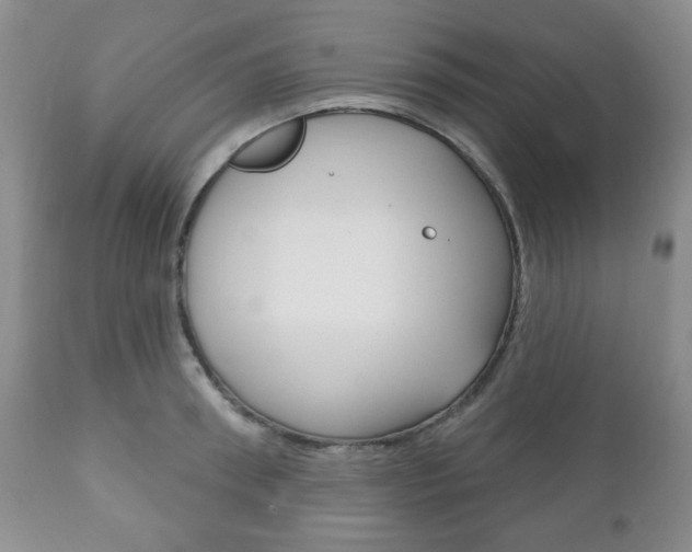 X0000111170898200907011005