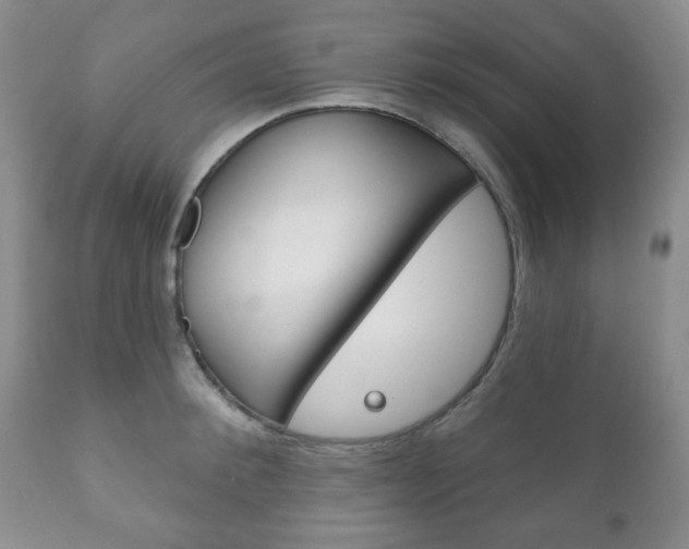 X0000111170900200907011005