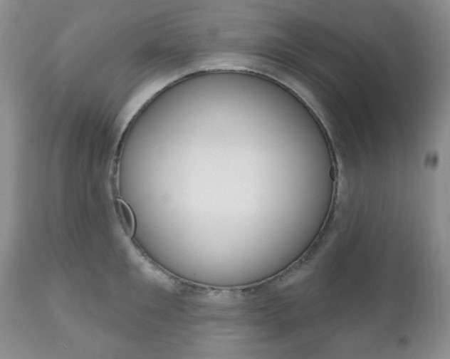 X0000111170901200907011005
