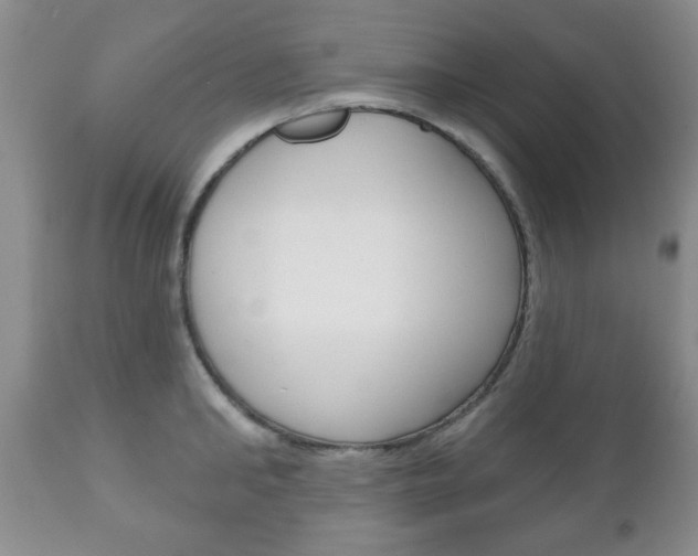 X0000111170902200907011005