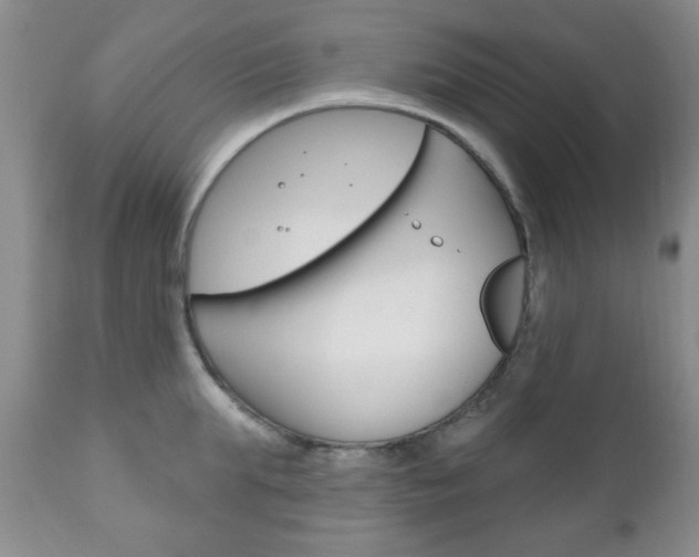X0000111170903200907011005