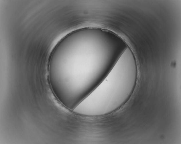 X0000111170904200907011005