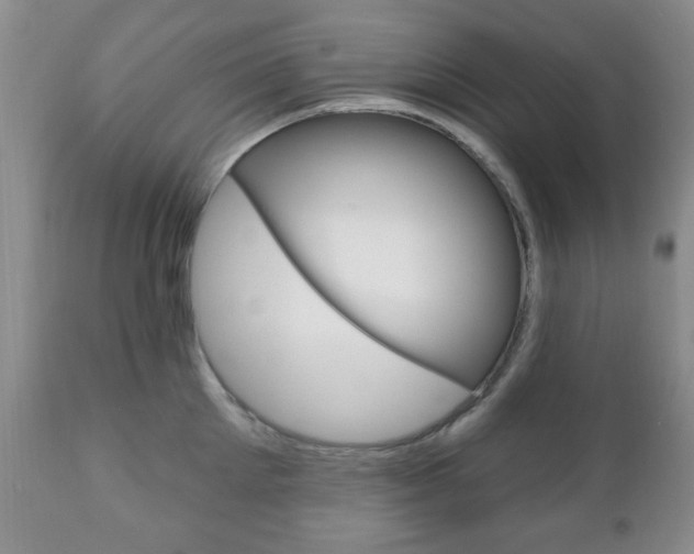 X0000111170905200907011005