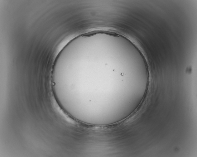 X0000111170906200907011005