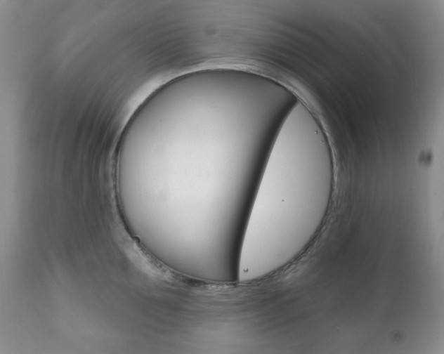 X0000111170907200907011005