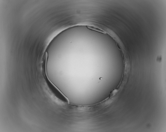 X0000111170908200907011005