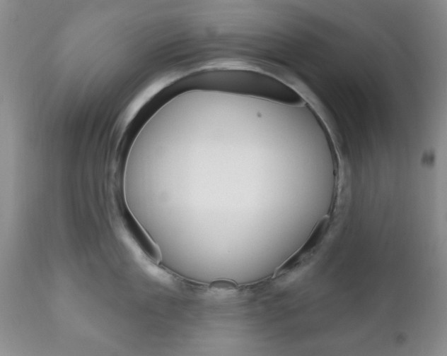 X0000111170909200907011005