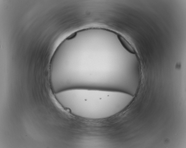 X0000111170911200907011005