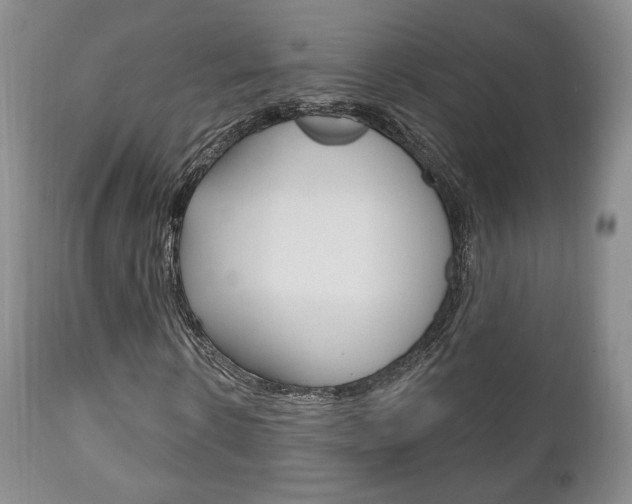 X0000111170914200907011004