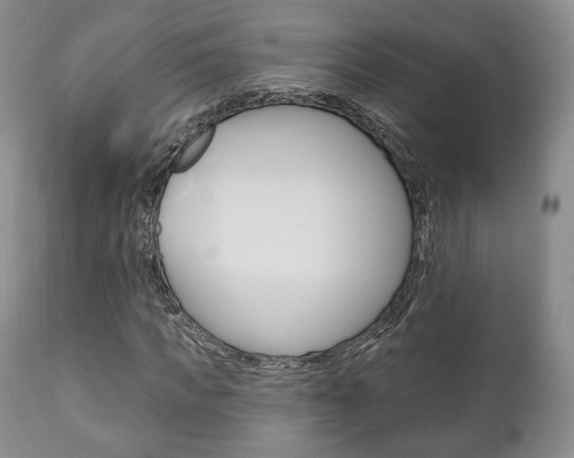 X0000111170917200907011004