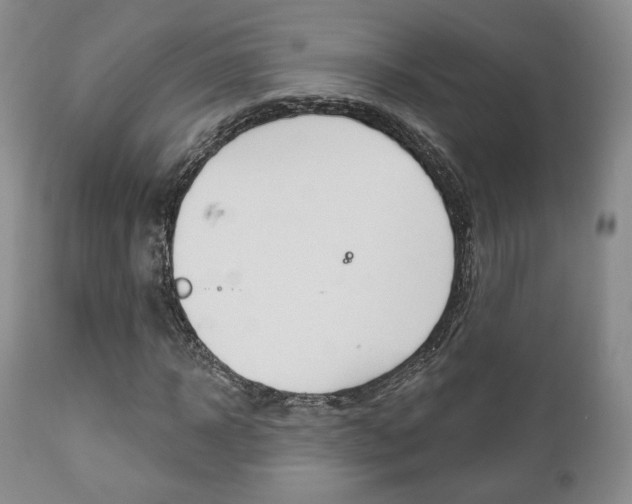 X0000111170918200907011004
