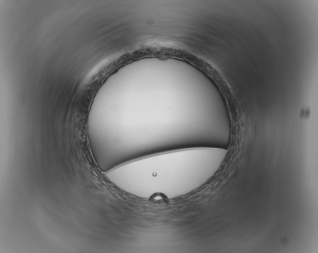 X0000111170919200907011004