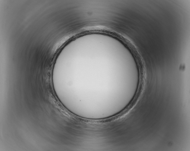 X0000111170921200907011004
