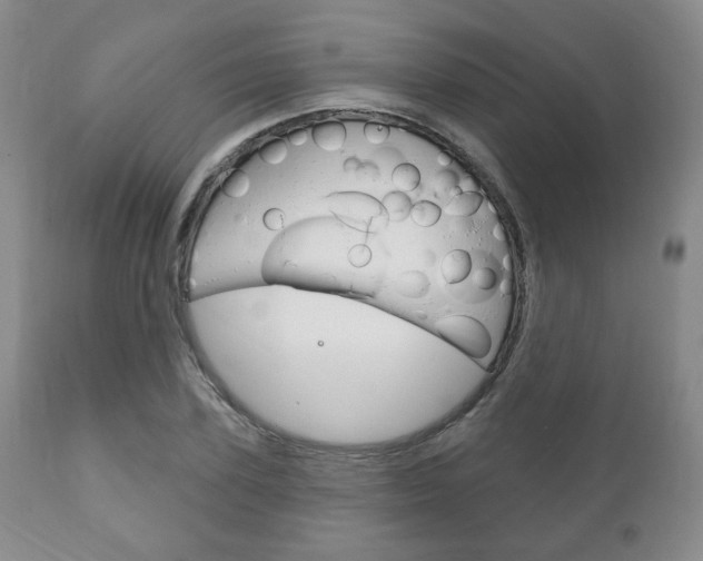 X0000111170931200907011004