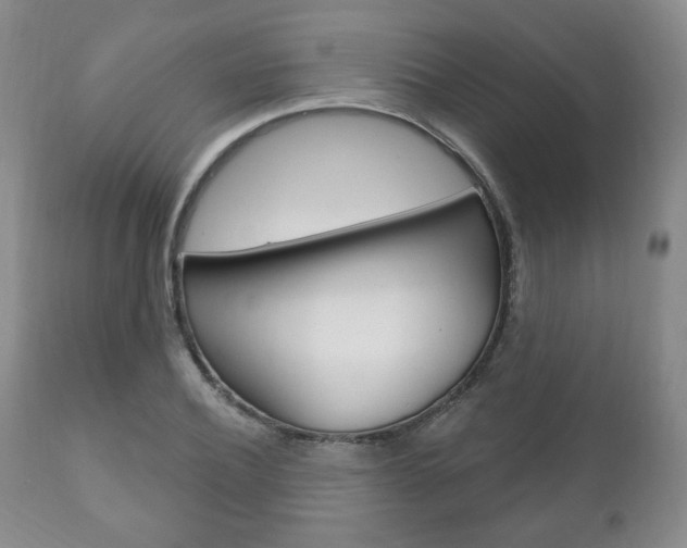 X0000111170932200907011004