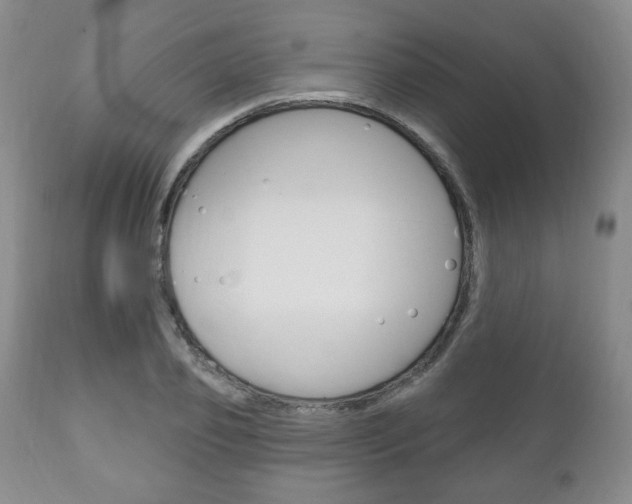 X0000111170933200907011004