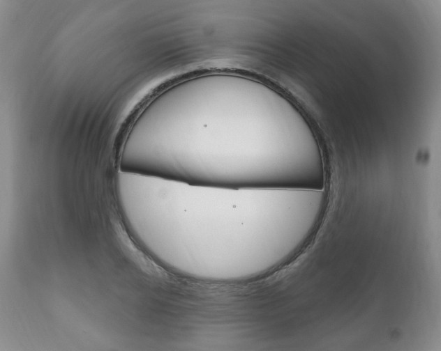X0000111170934200907011004