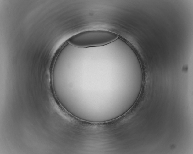X0000111170936200907011004