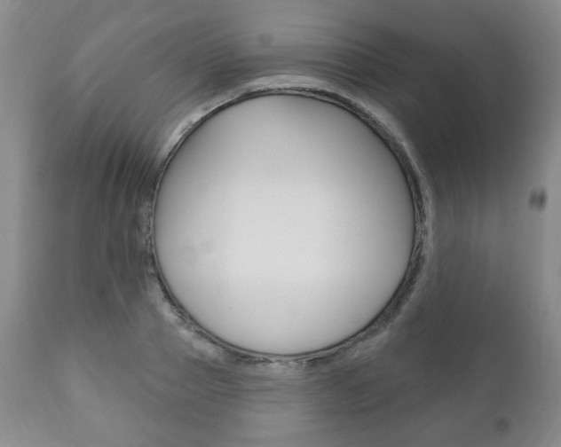 X0000111170937200907011004