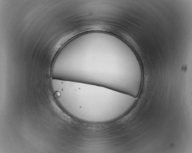X0000111170938200907011004