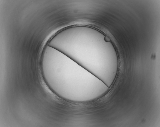 X0000111170939200907011004