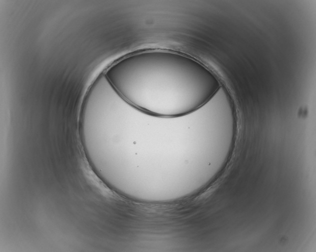 X0000111170940200907011005