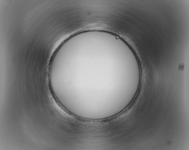 X0000111170941200907011005