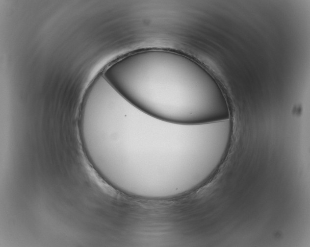 X0000111170942200907011005