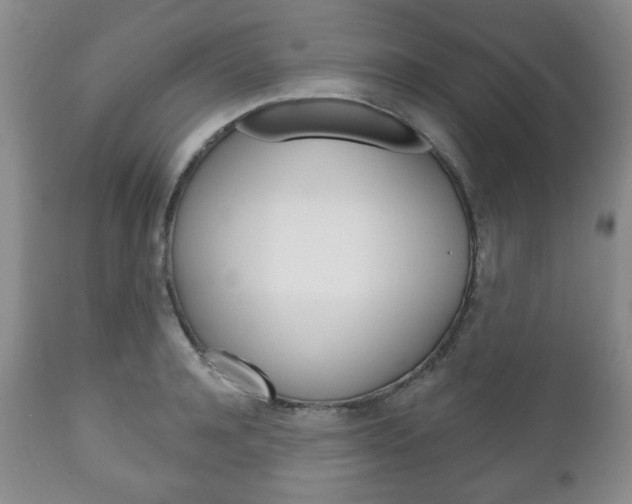 X0000111170944200907011005